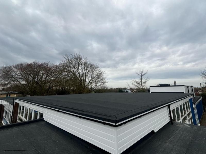 Case Study Images (3)