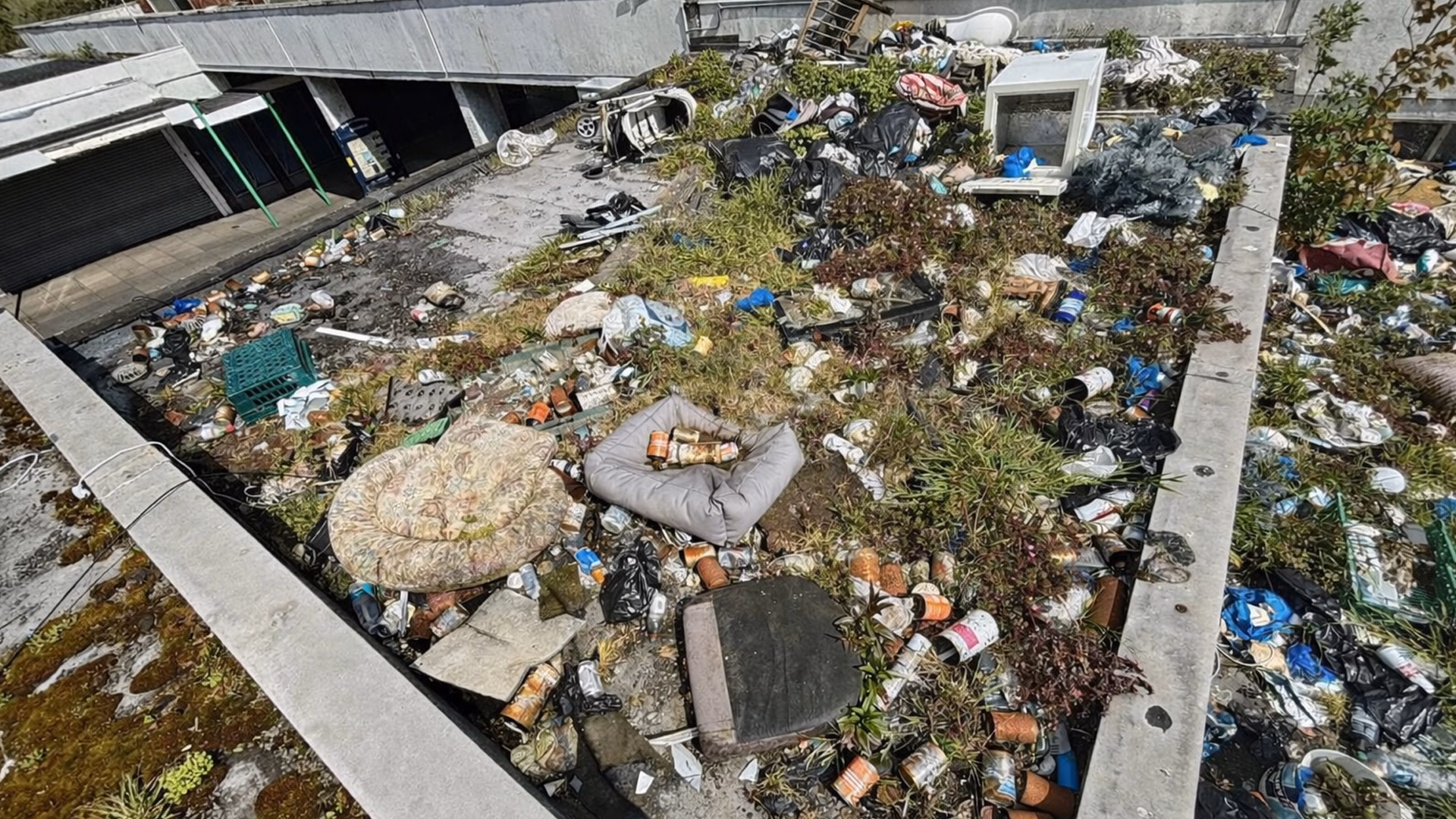 Flat roof at Eddisons - Riley Square showing significant waste build-up, vegetation growth and surface contamination prior to refurbishment.